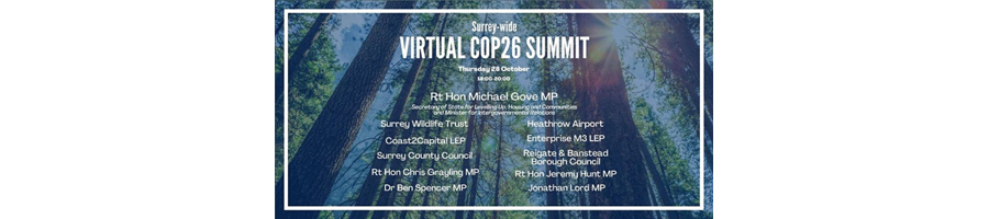 Virtual COP26 Summit event